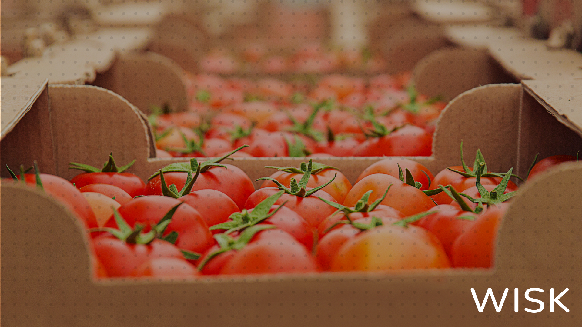 Restaurant Solution Dealing with Overstocking WISK